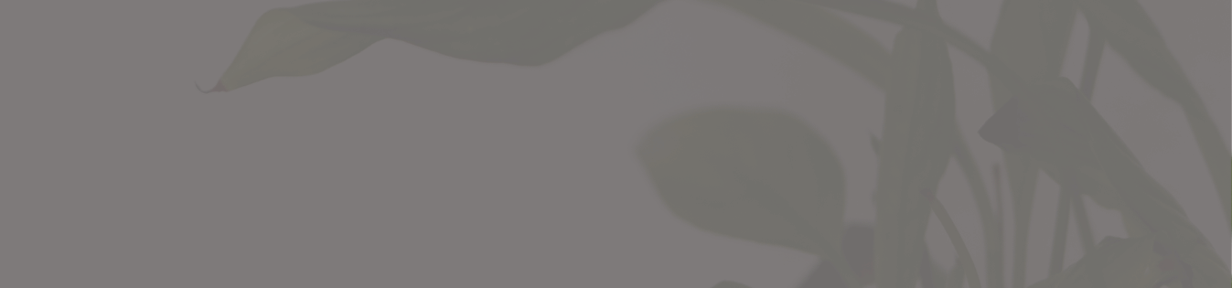 footer-background